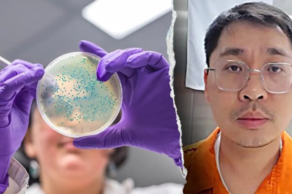 Split image of E. coli bacteria sample in a lab and Chinese researcher Youhuang Xiang