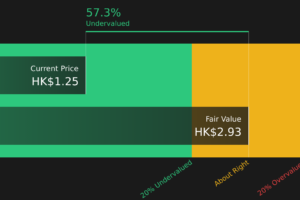 1313 Discounted Cash Flow as at May 2026