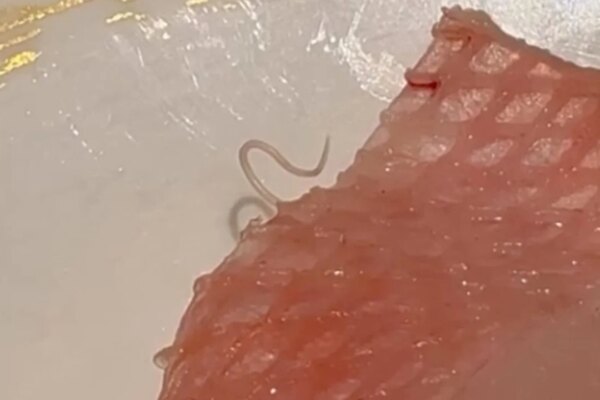 Viral clip of parasite in sashimi at Hong Kong sushi branch triggers raw emotions