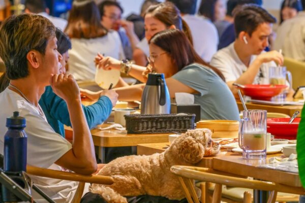 Hong Kong’s dog-friendly restaurant scheme receives 700 applications on first day