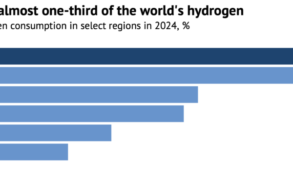 Share of global hydrogen consumption in select regions in 2024