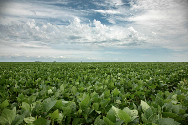 United States aims for broader ag trade in China – River County News