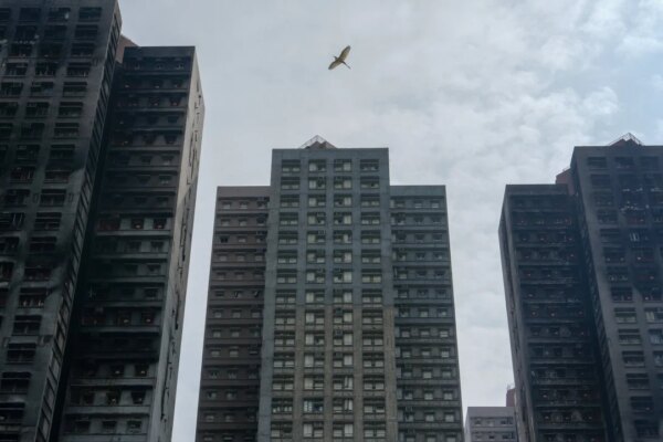 ‘Heavy’ hearts as residents of Wang Fuk Court’s only spared block return again
