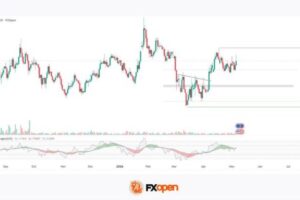 EUR/USD — At the Crossroads of Monetary Expectations