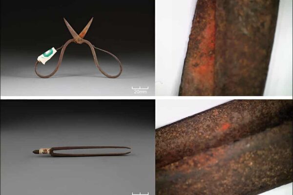 Rusty metal scissors and forceps. Tools used in ancient medical procedures with close up views of an orange residue