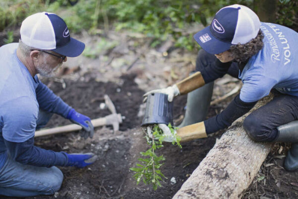 UK grants available for local conservation projects - The Royal Gazette