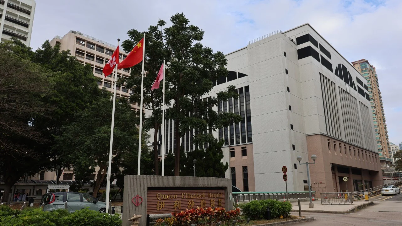 Taxi driver, 69, arrested after woman killed in Tsim Sha Tsui collision