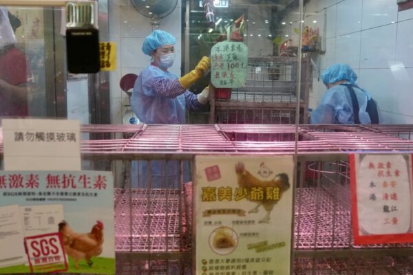 Hong Kong poultry stall suspended for disinfection after bird flu trace detected