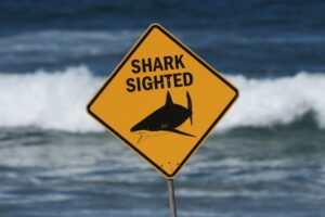 Spearfisher killed in Australia’s third fatal shark attack in 4 weeks