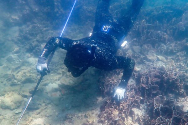 Proposed Sai Kung marine park to cover most coral reefs: Hong Kong authorities