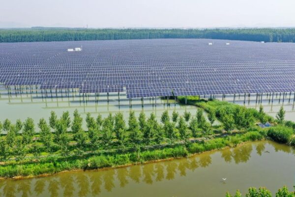 An aerial drone photo taken on June 2, 2026 shows a photovoltaic-aquaculture farm at a mining subsidence area in Binhu Town, Tengzhou City, east China's Shandong Province. Shandong Province has seen the development in its photovoltaic power sector with complementary modes in light of local conditions over recent years. These innovative modes blaze a path for three wins for clean energy exploration, ecological environment protection, and economic benefits. (Photo: Xinhua)
