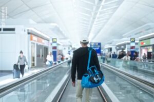 Airport Authority Hong Kong calls tender for advertising concession : Moodie Davitt Report