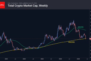 Fig. 1. The cryptocurrency market is hovering around the 200-week moving average.