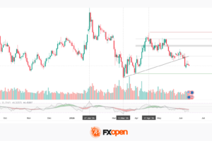 EUR/USD: ECB Meeting and Interest Rate Expectations