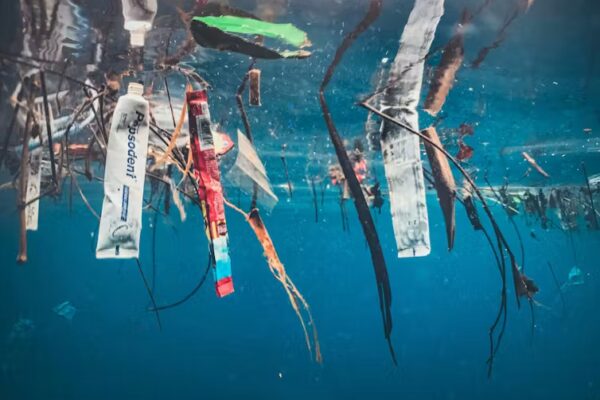 One Of The World's Most Important Climate Threats Has Image Problem