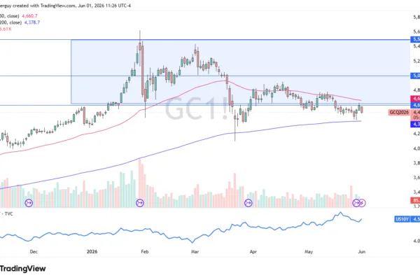 Reacts to Interest Rates (Video)