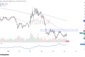 USD/HUF Signal Today 08/06: Fresh Selling Opportunity (Chart)