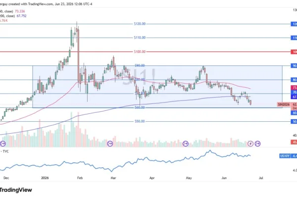 Continues to See Sellers (Video)
