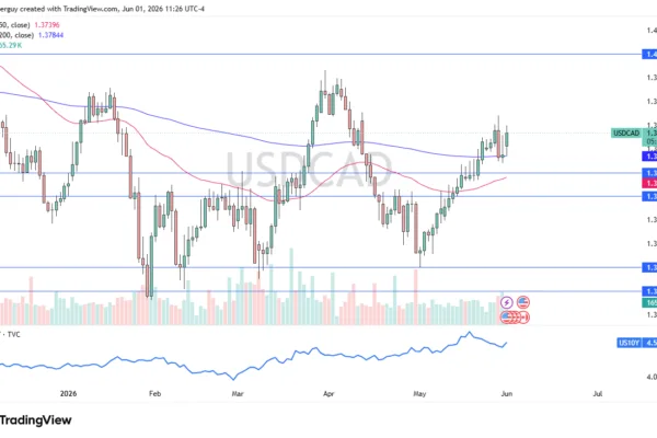 Gains Momentum (Video & Chart)