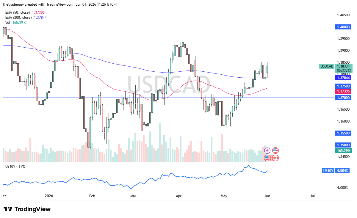 Gains Momentum (Video & Chart)