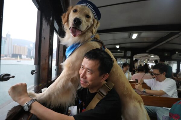 Hong Kong’s Star Ferry seeks 30% fare rise, eyes pet-friendly service