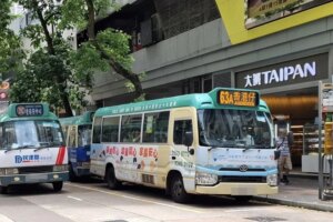 Woman, 50, arrested for murder after minibus stop fight in Hong Kong