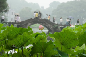 Tidal bore and moonlight: Zhejiang showcases travel attractions