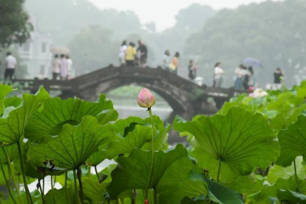 Tidal bore and moonlight: Zhejiang showcases travel attractions