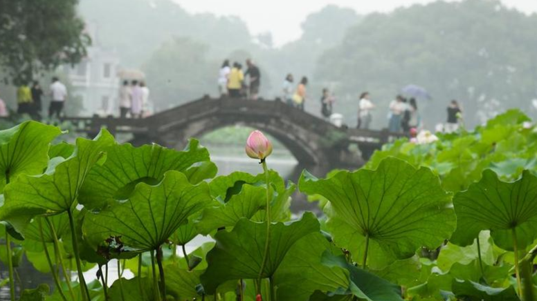 Tidal bore and moonlight: Zhejiang showcases travel attractions