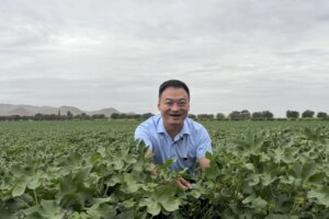 How Xinjiang offers Hong Kong a bridge to Central Asia — and what the risks are