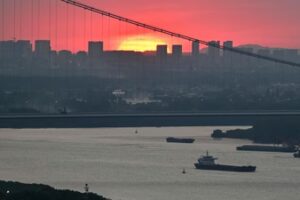 The Chinese Communist Party, once famous for pillaging from the natural world, has set to protecting parts of it. (FILE AFP)