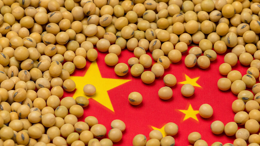 Chinese imports of soyabeans totalled 13.55M tonnes in June. Image source: Adobe Stock