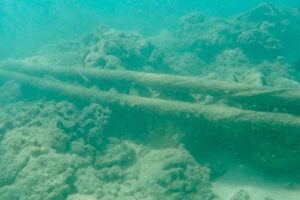 Submarine cables carry over 95% of all transcontinental data traffic (Wikimedia Commons/Representative image)