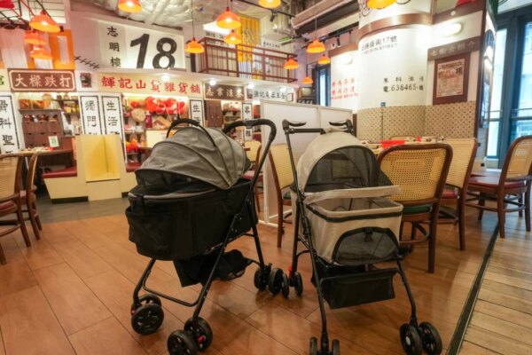 Hong Kong restaurants spend to welcome furry diners under pet-friendly scheme