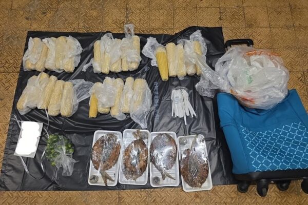 Food and hawking equipment seized during the operation. Photo: SCMP