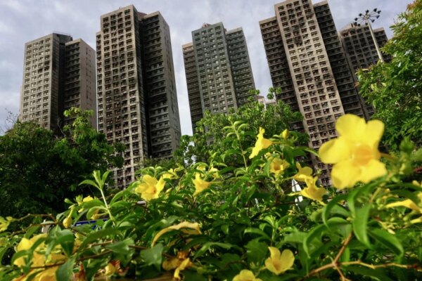 Tai Po fire: corrupt players exploited loopholes in regulations, inquiry hears
