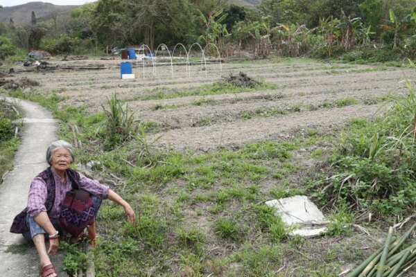 Opinion | Hong Kong’s Northern Metropolis project needn’t neglect agriculture