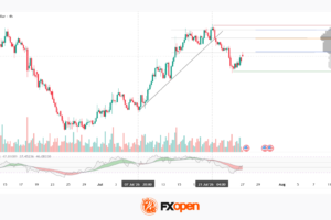 NZD/USD: Inflation Surge Meets Strong US Dollar Pressure