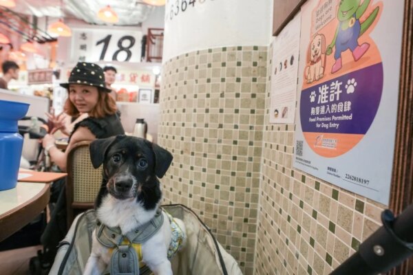 More than 30 restaurants pull out of dog-friendly scheme, 70 warnings issued