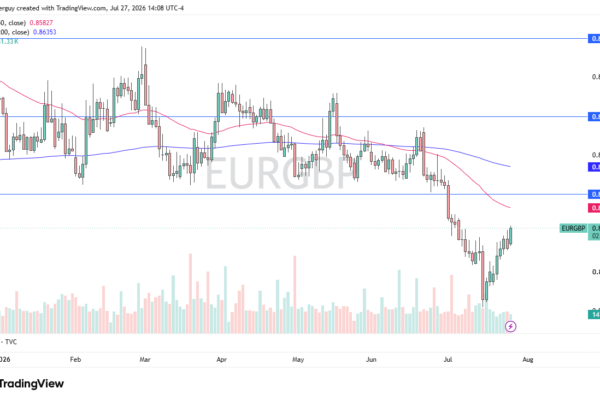 EUR/GBP Analysis 28/07: Price – Euro Rallies
