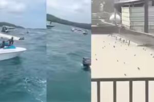Evening news wrap: 15 Indian tourists killed in Vietnam boat accident, twin typhoons batter China & more