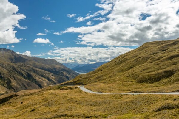 Hongkonger dies in New Zealand car crash, third fatality this year
