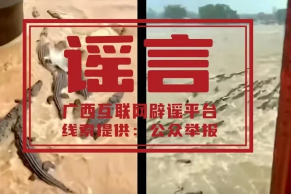 Screenshot of fake AI content in China, purportedly showing crocodiles escaping into a river during a flood