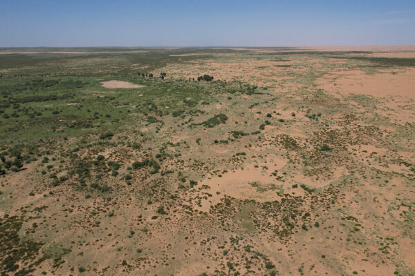 An aerial view of a forest next to a barren landscape