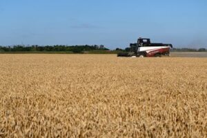 Analysis-Decades of farm gains, inventories strengthen food system against ‘super’ El Nino