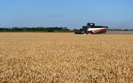 Analysis-Decades of farm gains, inventories strengthen food system against ‘super’ El Nino