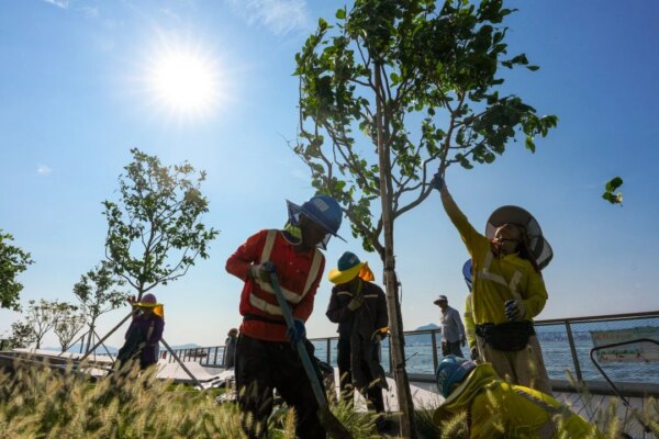 Calls for system review after lowest alert in force during record-breaking heat