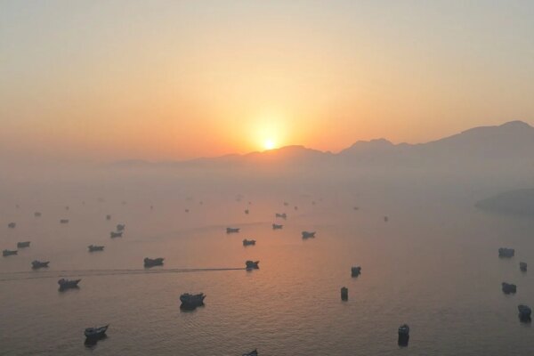 Hong Kong ship crews stranded in Strait of Hormuz ‘safe and offered counselling’