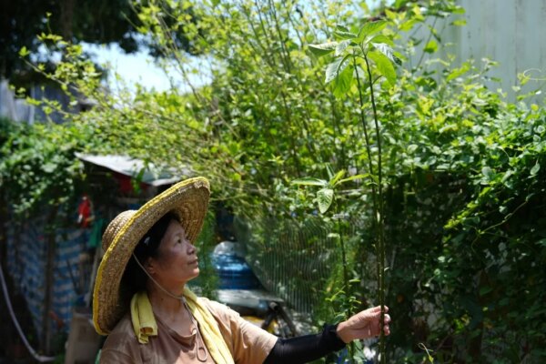 ‘I had planned to stay for life’: last villagers prepare to leave Cha Kwo Ling