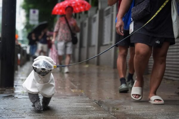 Hong Kong set for heavy showers, squally thunderstorms over next few days